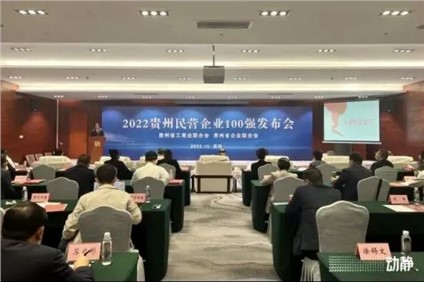 喜報！中偉股份榮登“2022貴州制造業(yè)民營企業(yè)20強(qiáng)”榜首