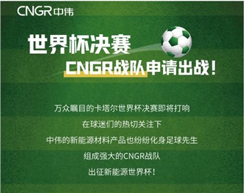 世界杯決賽 | CNGR戰(zhàn)隊(duì)申請出戰(zhàn)！